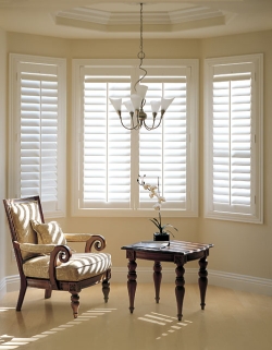 Basswood Shutters